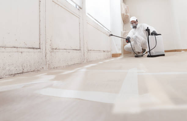 24/7 Emergency Mold Cleanup experts in Newtonville, MA