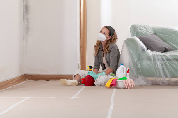Reliable Mold Cleanup contractor in Newtonville, MA by Cheap Mold Removal